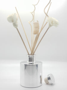 Scents of Utopia Diffuser Set-Silver