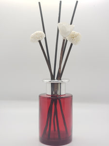 Scents of Utopia Diffuser Set-Red