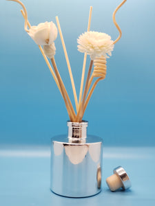 Scents of Utopia Diffuser Set-Silver