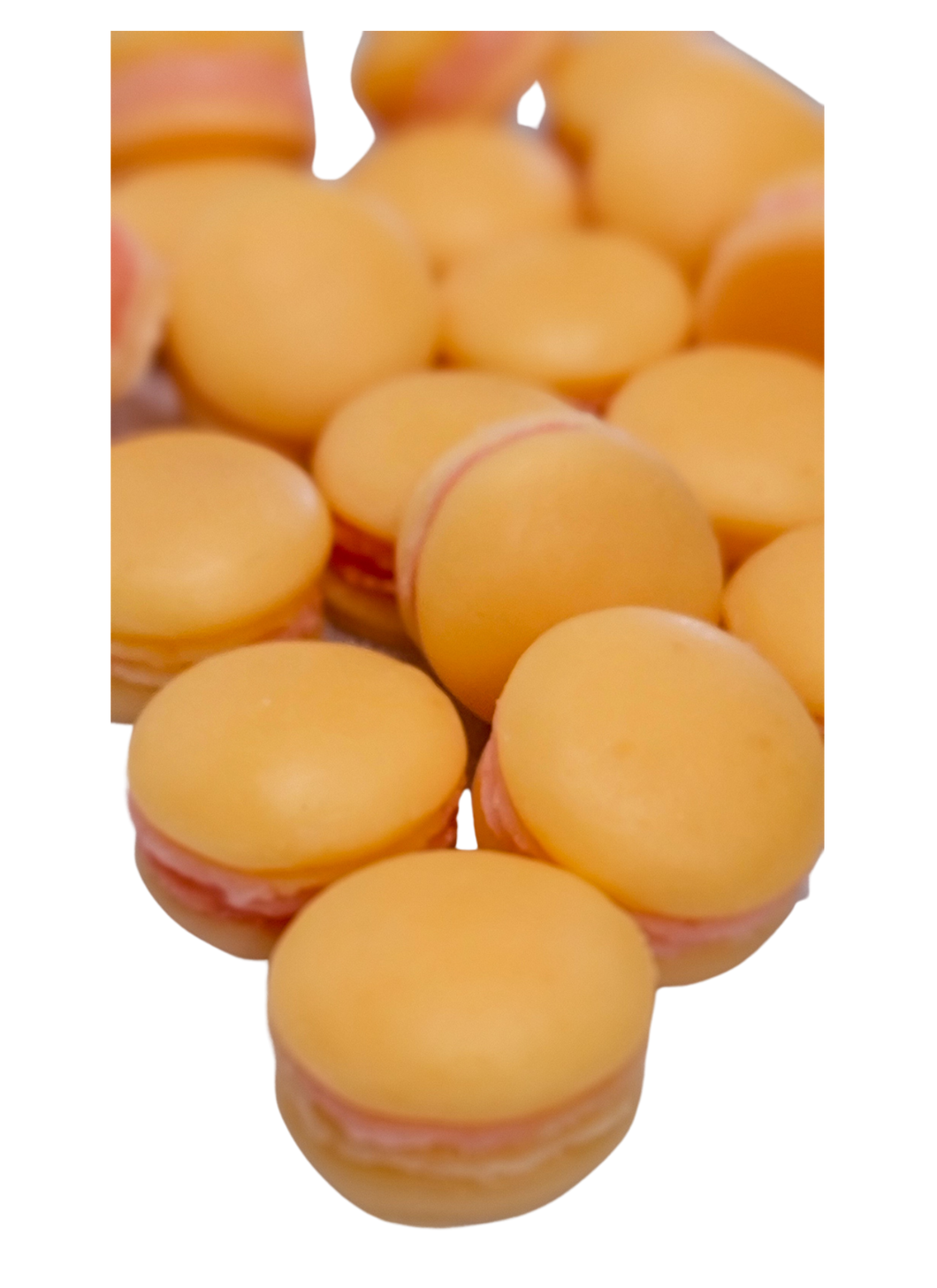 Mango Sorbet Macaroons Wax Melts